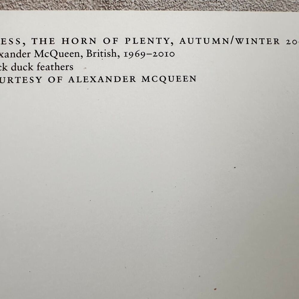 Alexander-mcqueen multi Prints - Picture 4 of 5
